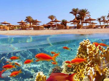 İzmir Adnan Menderes Havalimanı Kalkışlı Pegasus Hava Yolları İle 3 Gece 4 Gün Sharm El Sheikh Tatili