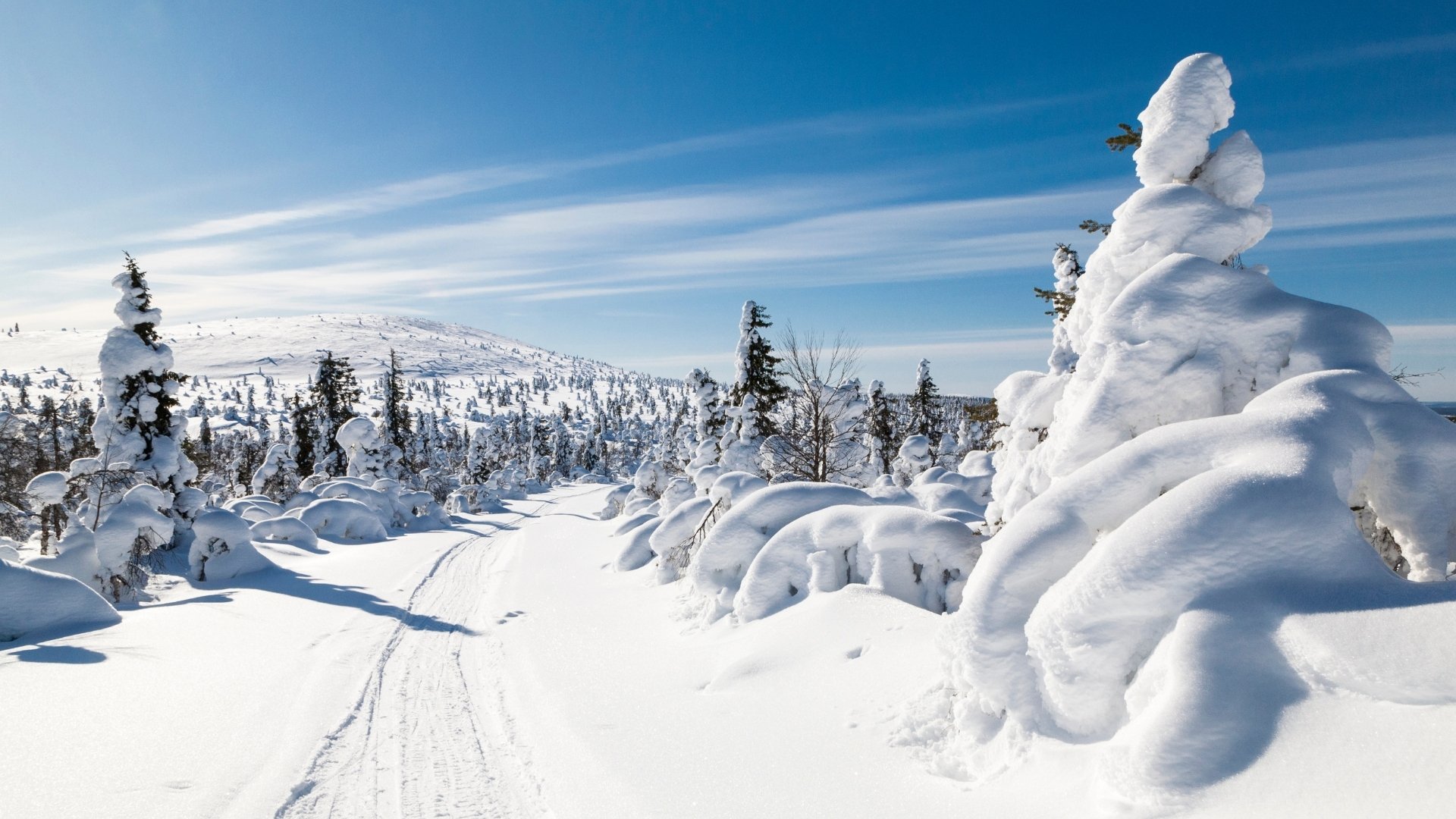 KUZEYİN BÜYÜLÜ IŞIKLARINA YOLCULUK LAPLAND TURU (3 GECE KAMPANYA)