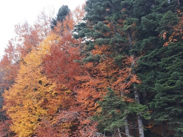 BATI KARADENİZ YEDİGÖLLER TURU