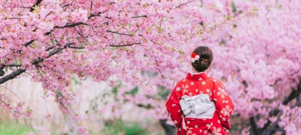 JAPONYA & KORE SERÜVENİ TURU TÜRK HAVA YOLLARI İLE 8 GECE ICN-KIX YAZ DÖNEMİ