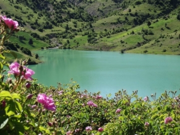 ISPARTA GÜL BAHÇELERİ SALDA TURU 2026