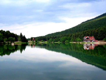 SAFRANBOLU SAFRAN ÇİÇEĞİ FESTİVALİ TURU