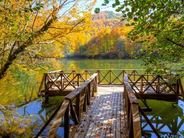 SAFRANBOLU SAFRAN ÇİÇEĞİ FESTİVALİ TURU