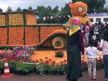ADANA PORTAKAL ÇİÇEĞİ FESTİVALİ