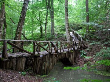 ABANT YEDİGÖLLER TURU