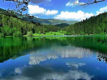 UÇAKLI BUTİK ARTVİN TURU