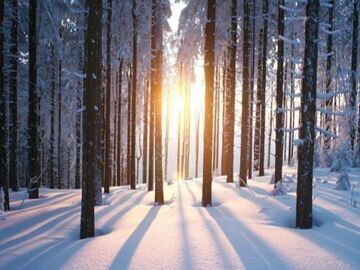 YILBAŞI ABANT KARTEPE ORMANYA ULUDAĞ TURU