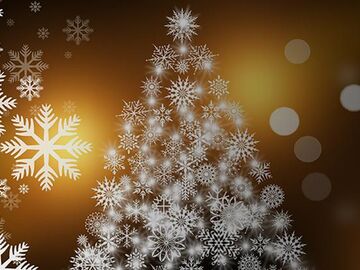 YILBAŞI ABANT KARTEPE ORMANYA ULUDAĞ TURU