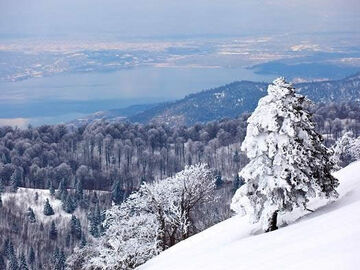 KARTEPE ORMANYA SAPANCA TURU