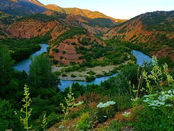 UÇAKLI TUNCELİ KEMALİYE DİVRİĞİ TURU