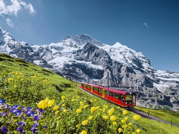 TREN VE TELEFERİK EŞLİĞİNDE ALP DAĞLARI`NA YOLCULUK (RAMAZAN BAYRAMI)