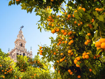 RAMAZAN BAYRAMINA ÖZEL KEŞİF DOLU BÜYÜK İSPANYA & ENDÜLÜS (İZMİR HARAKETLİ)
