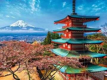 COMFORT JAPONYA TURU