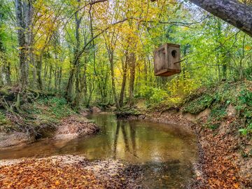 EDİRNE İĞNEADA LONGOZ ORMANLARI TURU (1 GECE KONAKLAMA)