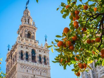 İSPANYADA İKİ YILDIZ BARSELONA - MADRİD 2027