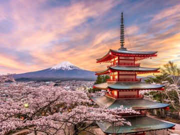 JAPONYA SAKURA ZAMANI